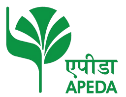 Agricultural and Processed Food Products Export Development Authority (APEDA) Recruitment 2025