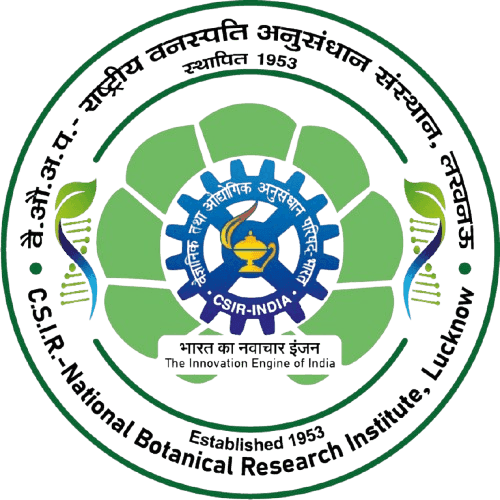 CSIR – National Botanical Research Institute (NBRI), Lucknow, Uttar Pradesh (UP) Recruitment 2025 job opportunity
