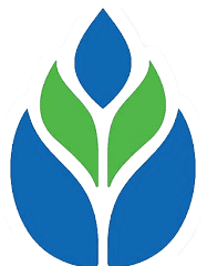 Andhra Pradesh Grameena Bank (APGB) Recruitment 2025