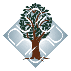 Dr. B. R. Ambedkar University Delhi (AUD) Recruitment 2025 job opportunity