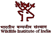 Wildlife Institute of India (WII), Dehradun Recruitment 2024