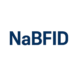 National Bank for Financing Infrastructure and Development (NaBFID) Recruitment 2025