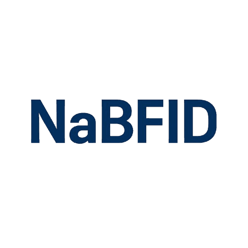 National Bank for Financing Infrastructure and Development (NaBFID) Recruitment 2025 job opportunity