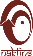 NABFINS Limited Recruitment 2025