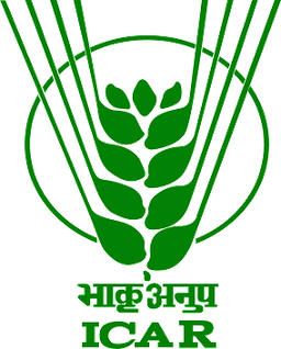 ICAR – Indian Agricultural Research Institute Recruitment 2025