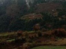 Snowfall on the hills of Pindar Valley