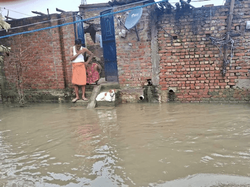 SDRF rescues people trapped due to waterlogging