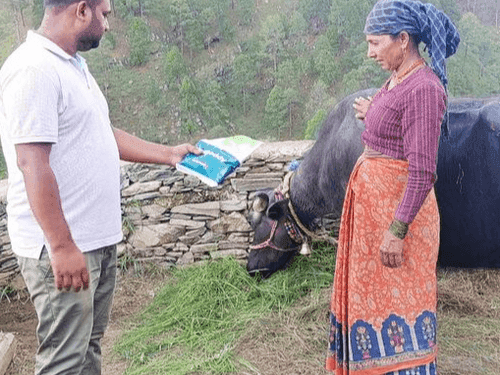 ग्राम रदोणी में पशु चिकित्सा कैंप का किया गया आयोजन