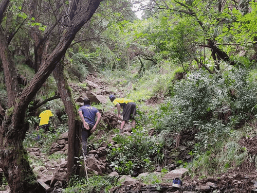 Car fell into 200 meter deep ditch, 02 injured