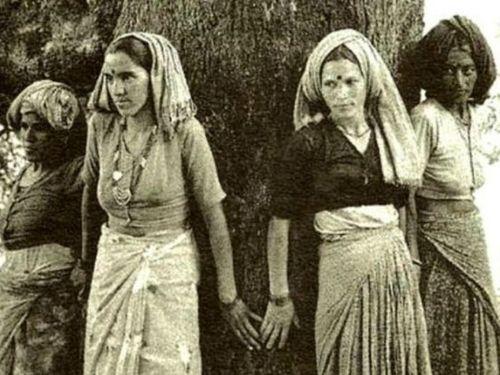 Tribute to all Chipko Agitators on 49th Anniversary of Chipko Movement