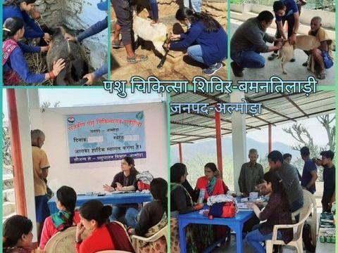 Veterinary camp organized by Animal Husbandry Department, Almora at Village- Bamantiladi, Block- Buffalo.