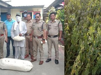 Police arrested the accused cultivating opium