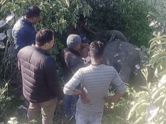 Female elephant dies after being hit by train, child injured