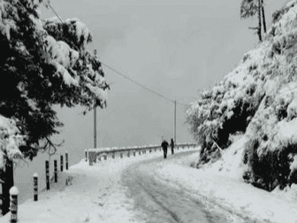 Meteorological Department issued forecast regarding the weather