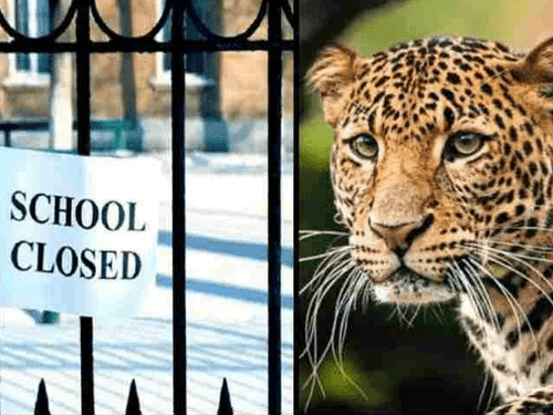 Schools will remain closed for two days in Ekeshwar block