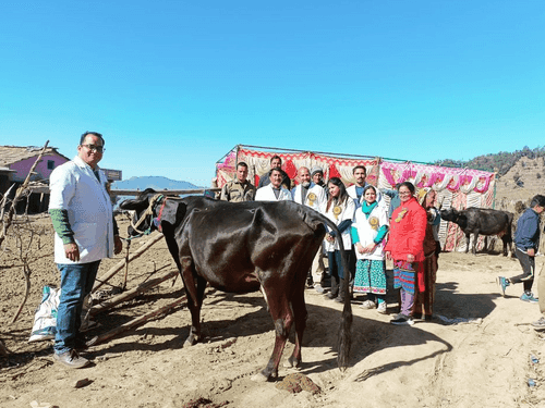 Animal Husbandry Department organized animal exhibition in village Khutiyakhal