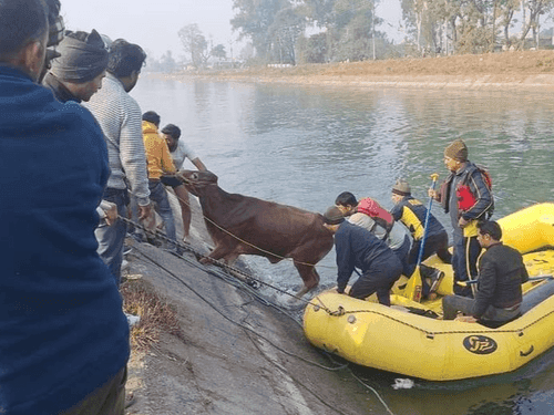 SDRF safely rescues the voiceless