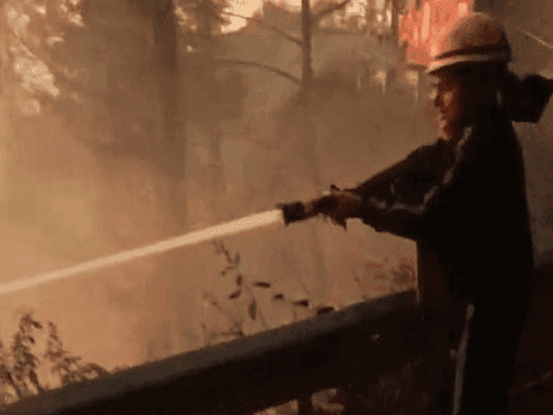 Fire Service Almora brought the forest fire under control