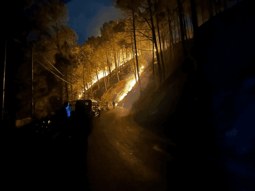 Fire station Garuda brought the massive fire in the forest under control.