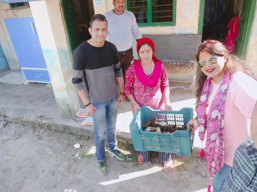 Distribution of one month old Cryler chicks under Government Veterinary Hospital Kempty area