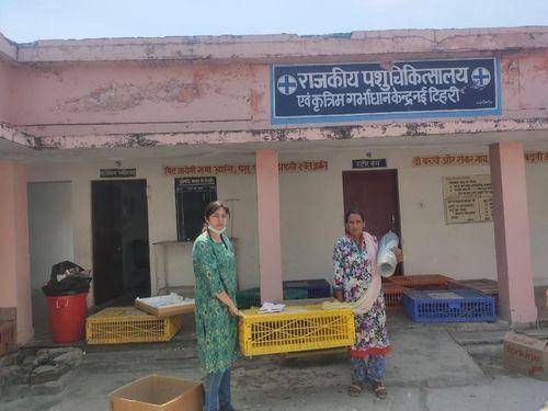 The distribution of one month's crawler chicks by the State Intensive Poultry Development Project Chham