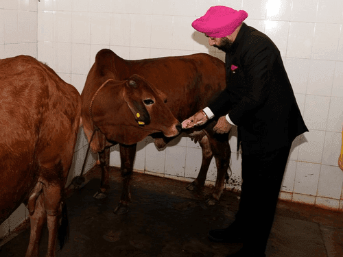 Governor Gurmit Singh inaugurated the newly constructed 'Rajlakshmi Gaushala'
