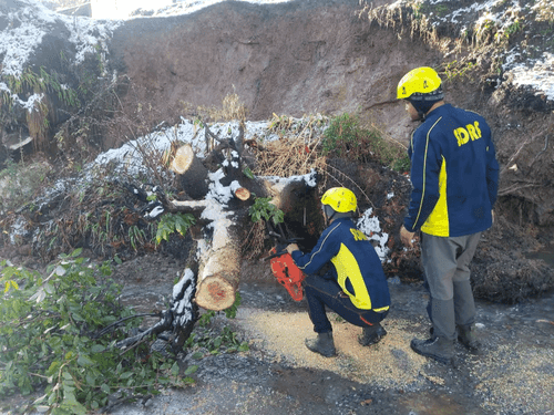 Traffic was made smooth by SDRF by removing fallen trees from the road