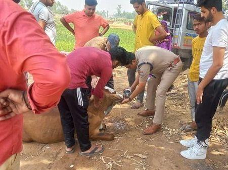 Arrangement and mercy, this act of Haridwar police made the people win hearts