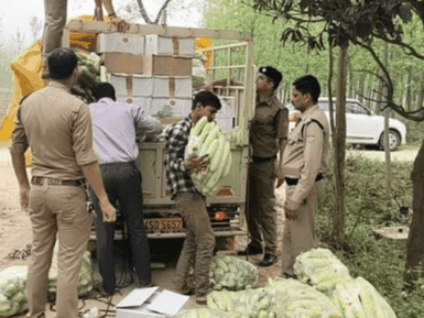 Liquor smuggling was taking place under the guise of vegetables in a loader vehicle
