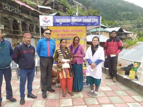 Animal Husbandry Department Uttarkashi organized a multi-purpose camp in the Bhatwadi block