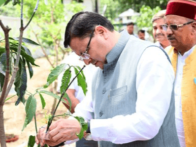 CM Dhami planted trees on the occasion of World Environment Day