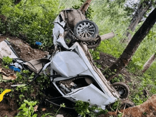 Car collided with a tree, a young man died in the accident