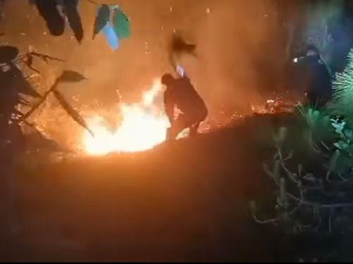 The blazing forest fire was stopped by the fire service personnel from reaching the village.