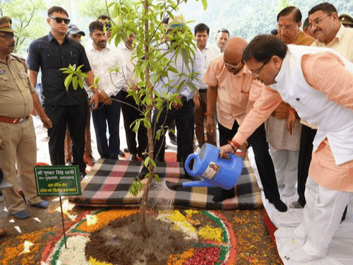 CM Dhami participated in the 'Plantation in the name of martyrs' program