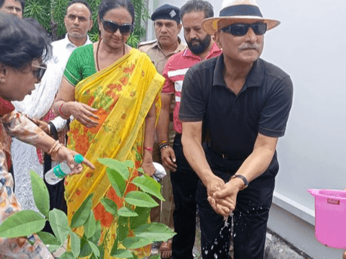 Chief Secretary planted saplings in a program organized by MDDA