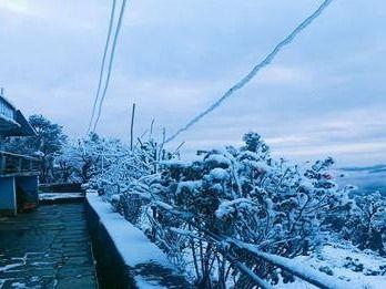 Snowfall in the state's Almora Nainital