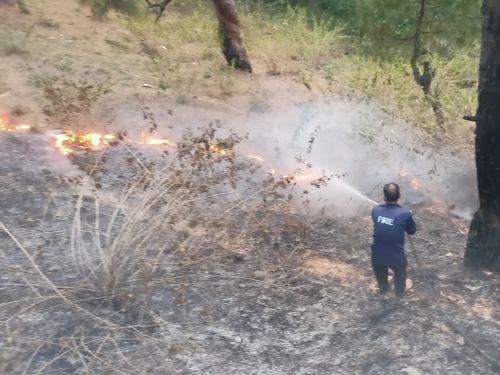 Fire unit Bageshwar extinguished the fierce fire in the forest under Kotwali area