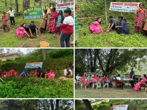 The Chief Veterinary Officer planted trees in the Government Fodder Project Bhainswada