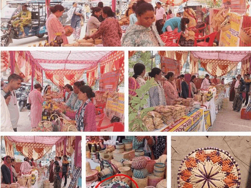Many women are taking advantage of the CM's Strong Sister Festival Scheme