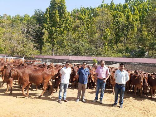 Inspection of animal breeding farm Kalsi by Chief Executive Officer, Uttarakhand Livestock Development Council