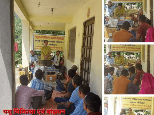 Veterinary and infertility camp was organized in village Hartapa