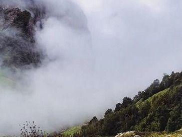 The Valley of Flowers is located in the Chamoli district of Uttarakhand.