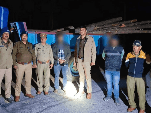 Almora Police recovered pine wood logs from a tractor trolley