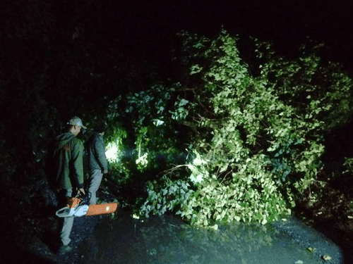 Baluwakot Police station cleared the traffic by removing the tree fallen on the road