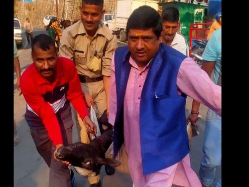 Chamoli police played human religion by saving the life of a critically injured cow