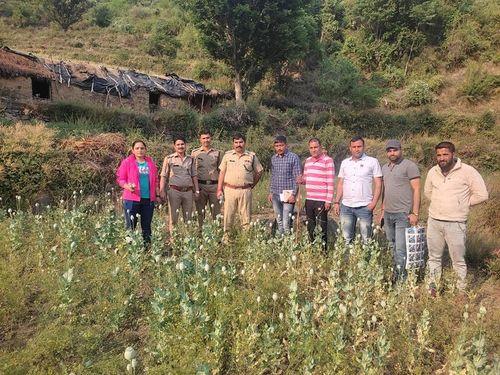 Image for Tehri police registered a case of destruction of illegal opium crop