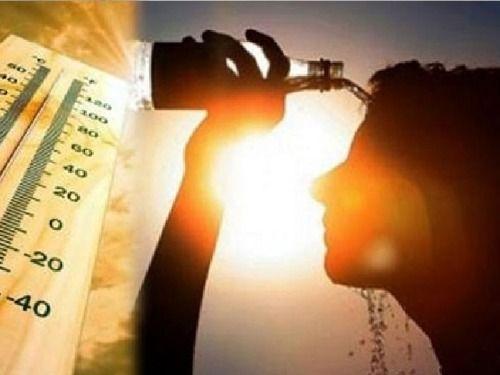Image for Meteorological Department issued forecast