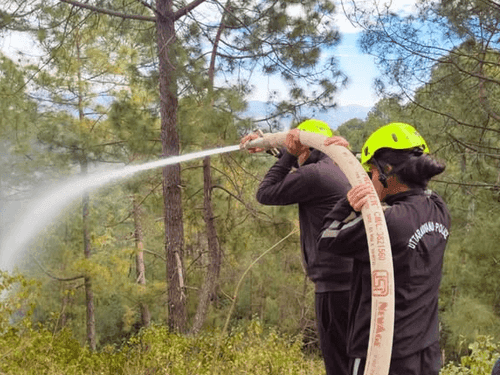 Fire Service Almora took prompt action and extinguished the forest fire