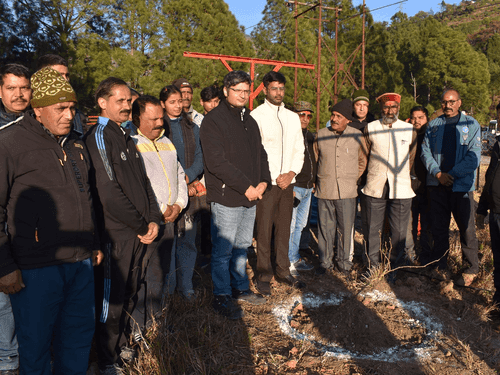 Kiwi plants are being planted in Adarsh ​​Village Maithana