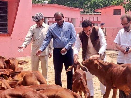 Animal husbandry minister and secretary inspected animal breeding farm Kalsi